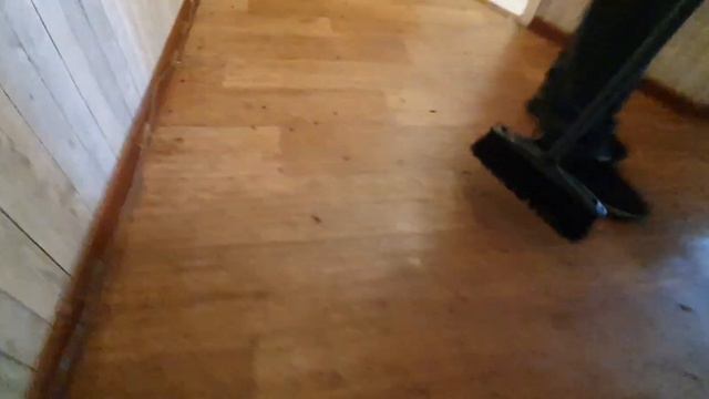 ТАРАКАНЫ по всей квартире!!!!!! это ШОК смотреть онлайн
