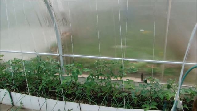 ПРИТЕНЕНИЕ ТЕПЛИЦЫ смотреть онлайн