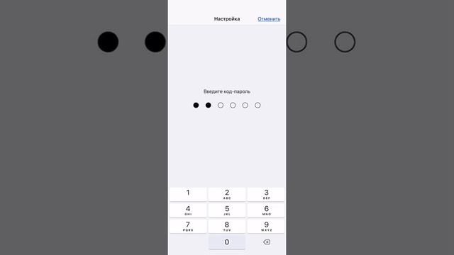Настройка Гид-доступ на iPhone XS смотреть онлайн