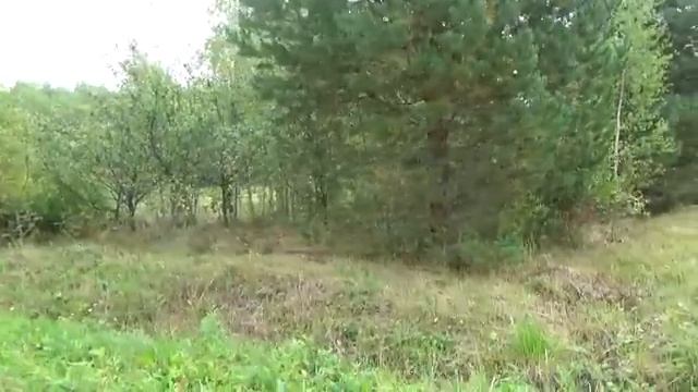 Подписчица купила дачу в нашем садоводстве//Леша уже ставит стены. смотреть онлайн