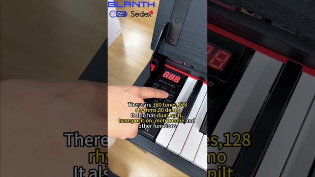 BLANTH Digital Piano BL-8817
