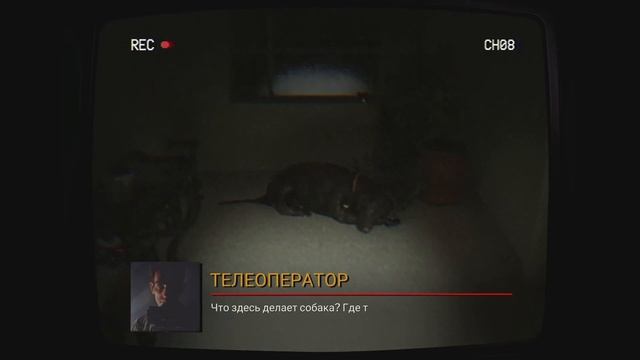 TELEFORUM - Плёнка, которую нельзя смотреть. смотреть онлайн