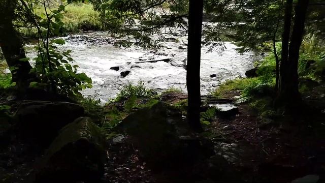 Morning Java and a Healthy Walk .... a relaxing time out with your Raven. смотреть онлайн