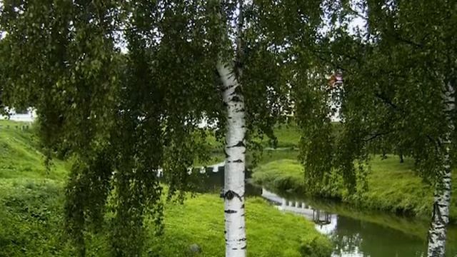 23 Березонька смотреть онлайн