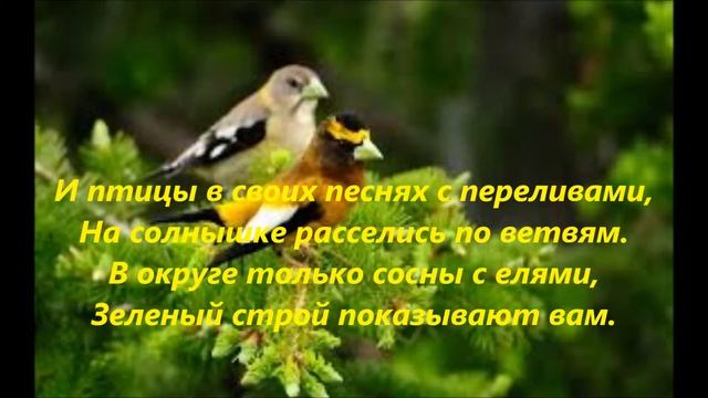 Мои стихи 20 ВЕСНА В ЗАБАЙКАЛЬЕ смотреть онлайн