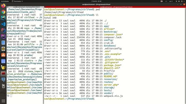 Cómo publicar un proyecto Laravel en Apache de forma sencilla смотреть онлайн