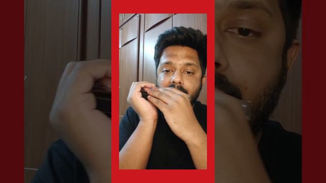 Bella Ciao - Harmonica смотреть онлайн