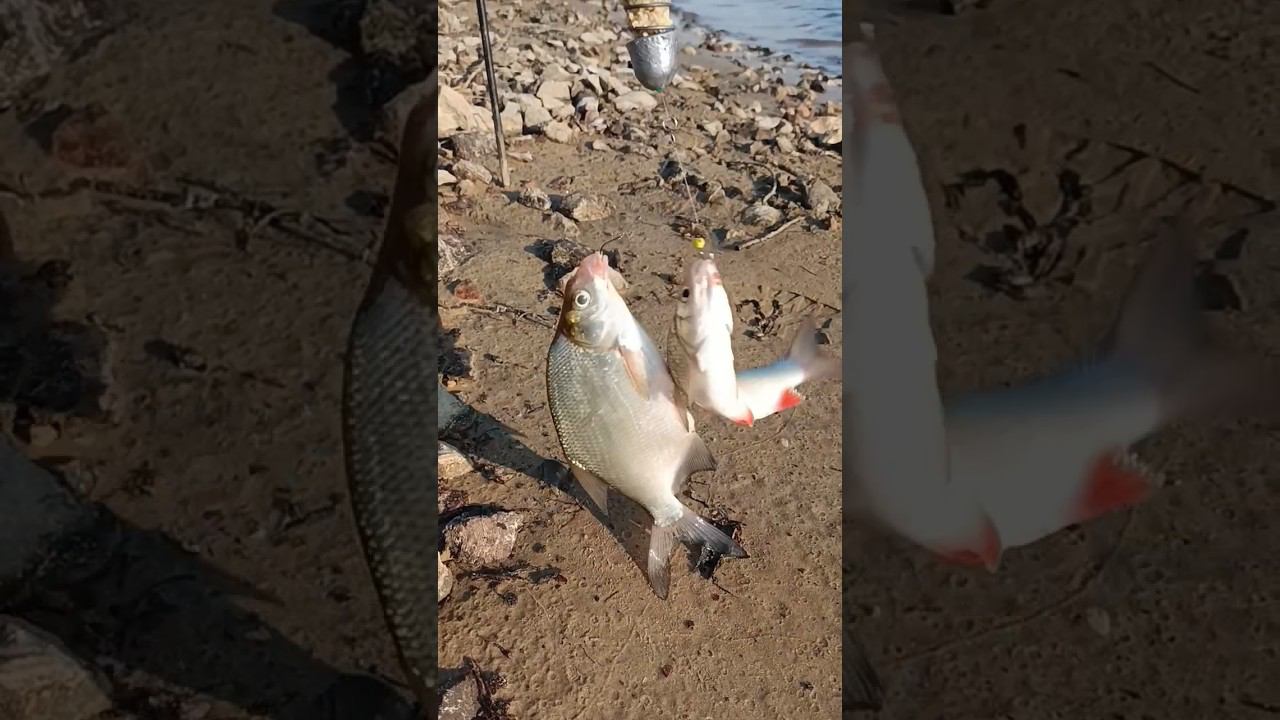 21 июля 2023 г. смотреть онлайн