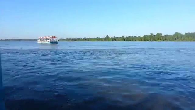 Мурена и Барракуда смотреть онлайн