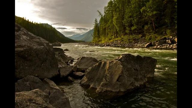 снежный человек