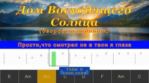 Дом Восходящего Солнца (cover) | Гитара на одной струне
