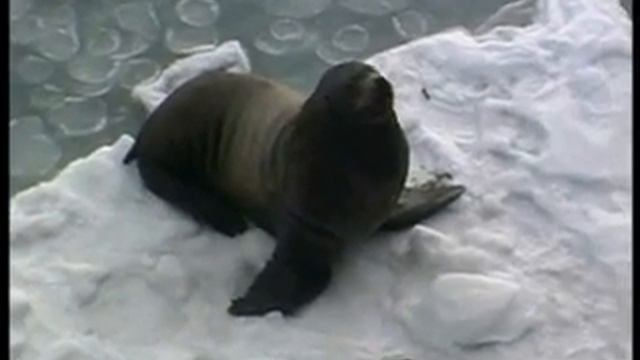 VTS Морская заставка смотреть онлайн