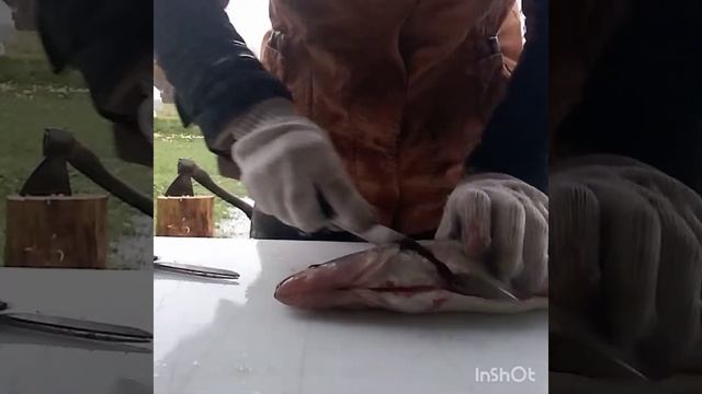 Как почистить судака! смотреть онлайн