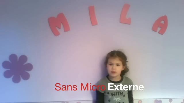 Caméscope Camera Portable Camcorder Besteker Z20 1080 HD Wifi