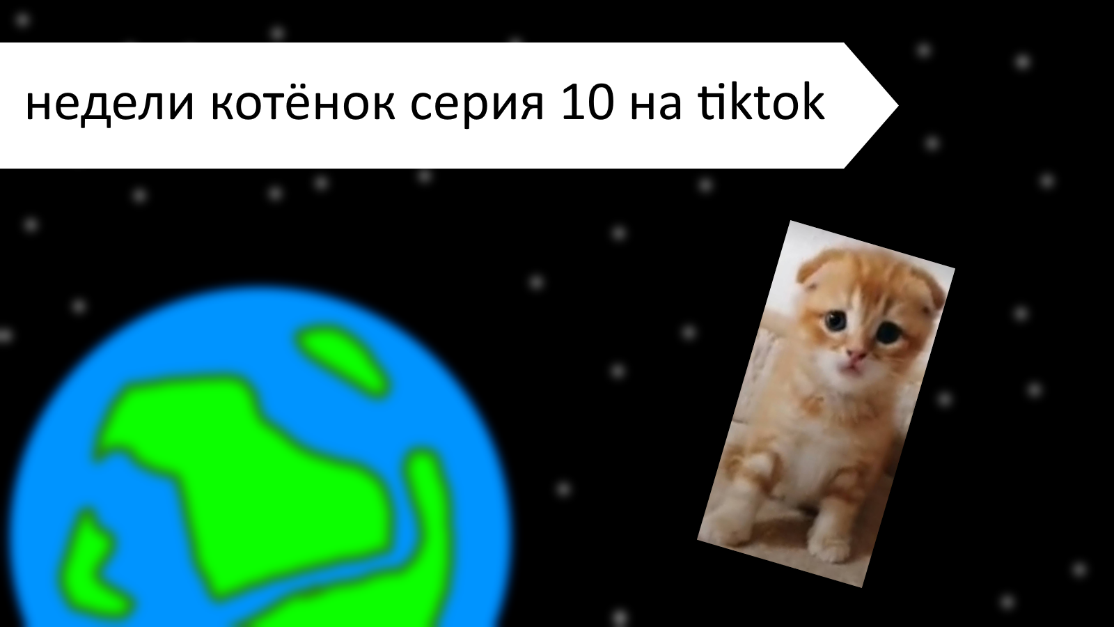 Недели котёнок серия 10 на tiktok смотреть онлайн