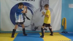Киокушин. №17 Комбинация (кумитэ)