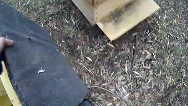 ГДЕ ПРОПАДАЛ? МЁД ПРОДАВАЛ \\ ПЧЕЛОВОДСТВО С НУЛЯ смотреть онлайн