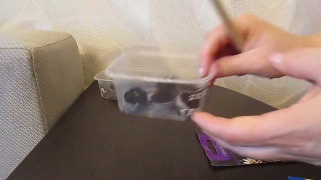 Гацания на 3й день после посева.25.02.2019 смотреть онлайн