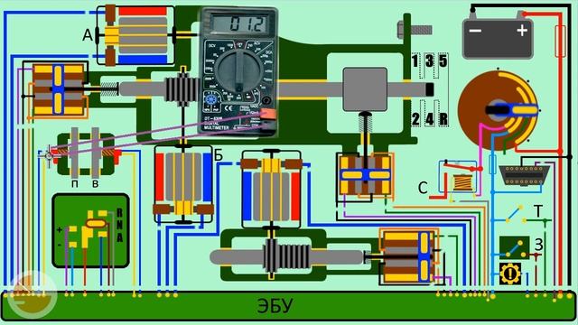 Чистота без границ