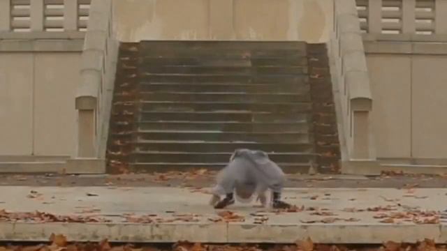 Мудрость Шаолиня Правила эти должен знать каждый смотреть онлайн