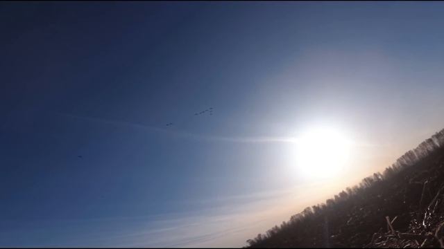 Шикарная охота на гуся. Татарстан 2019. Часть 1 смотреть онлайн