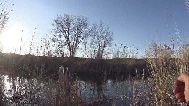 ЭТО ПРОСТО КАЙФ! Первая рыбалка на поплавочную удочку! смотреть онлайн