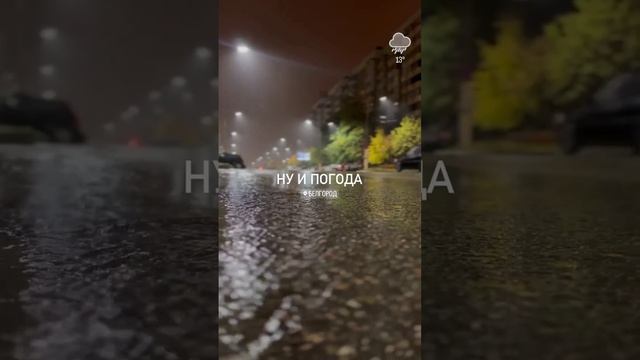 Люблю и скучаю❤️? #белгород #жизнь #свобода #синергия #новоевремя #мир