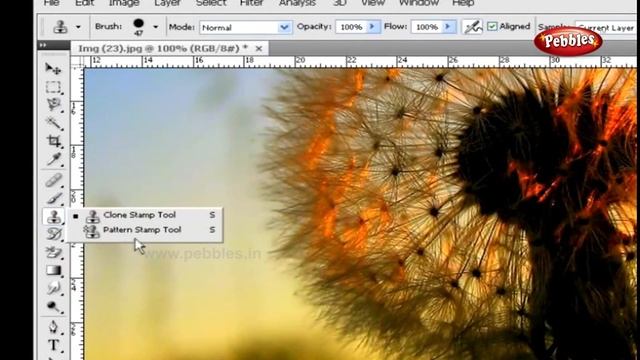 Brush,Pencil,Eraser-Tools || Clone & Pattern Stamp-Tools || Learn Photoshop in Tamil смотреть онлайн