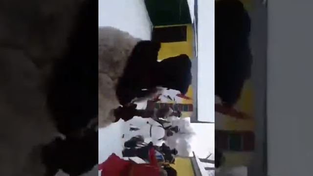 маланка юстинівка смотреть онлайн