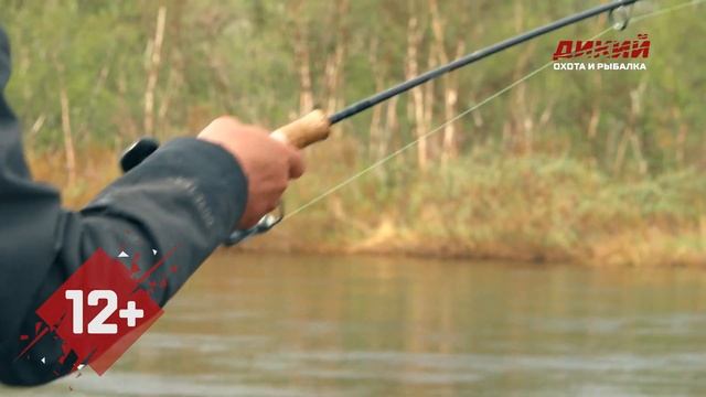 Кумжа и щука. Кольский. Рыболовный гид. Часть 2. смотреть онлайн