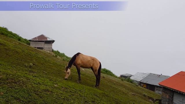 Walking mountain view | North Iran village life | Village above clouds смотреть онлайн
