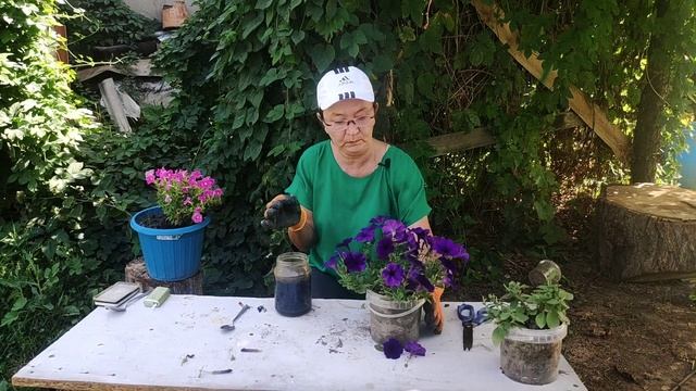 КАК УХАЖИВАТЬ ЗА ЦВЕТАМИ ??? смотреть онлайн