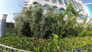 Turkey2020 - Water Side Resort & Spa 5*