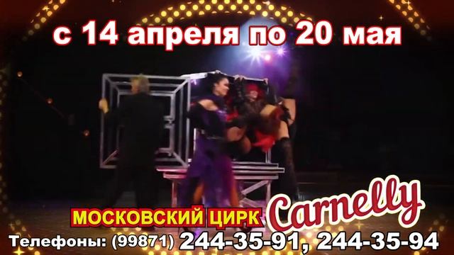 Cornelli в Ташкентском Цирке смотреть онлайн