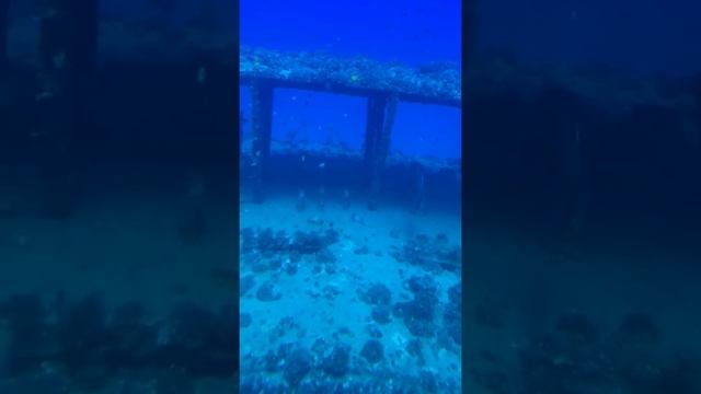 Views from the submarine (with music) смотреть онлайн