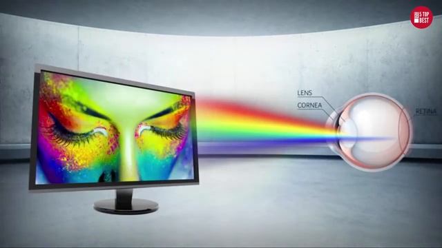 top 5 best budget gaming monitor 2020 смотреть онлайн