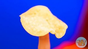 Большая, Средняя или Маленькая тарелка Челлендж | Битвы с едой от Multi DO Challenge