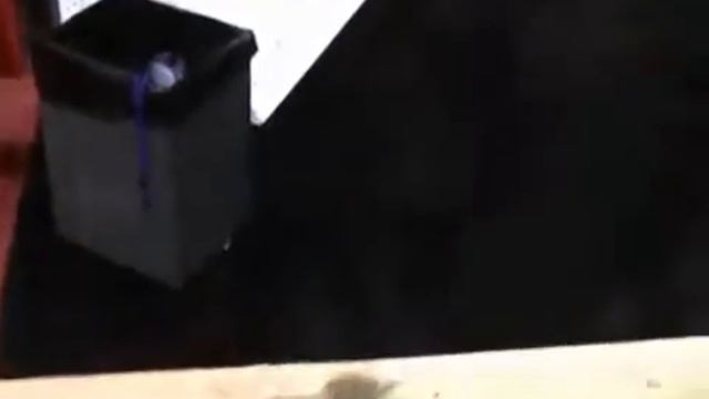 Молотки и гвоздодеры Stiletto Titanium Tools смотреть онлайн