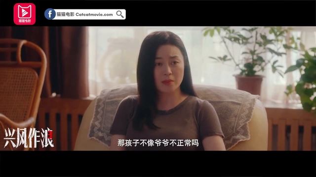 猫猫电影介绍《兴风作浪3》短视频 смотреть онлайн