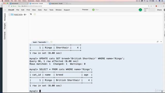 UPDATE COMMAND Challenges SOLUTION IN SQL смотреть онлайн