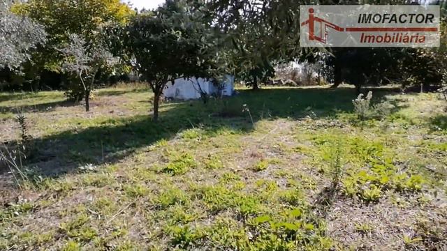 🌾 Farm For Sale - Outbuildings, Olive Trees, Fruit Trees / Central Portugal | Unavailable смотреть онлайн