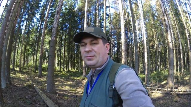 В поисках волчьего логова. Делаем солонцы. смотреть онлайн