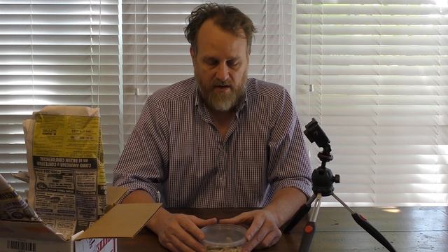 Unboxing an Angry Hognose Snake! смотреть онлайн