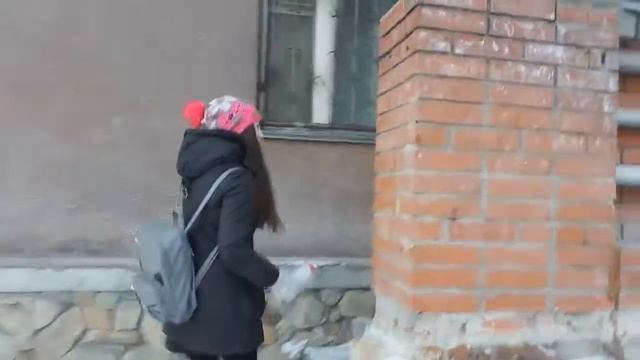 *поможем бездомным животным* смотреть онлайн