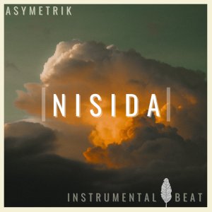 "Nisida" / Old School Boom Bap Type Beat | hip-hop instrumental / prod. by Asymetrik