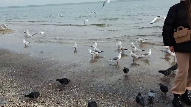 Одесса ?Понедельник.? Тишина полная после воскресного шторма)?? #уЧерногоМоря ✨942 Ноябрь 2023