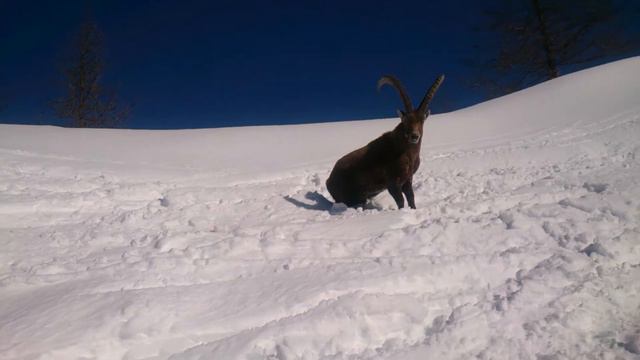 MOV 1138 смотреть онлайн