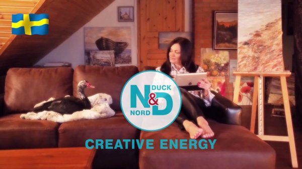 Nord Duck artist 30sec RU