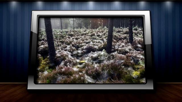 20 best photographs ever taken without photoshop смотреть онлайн