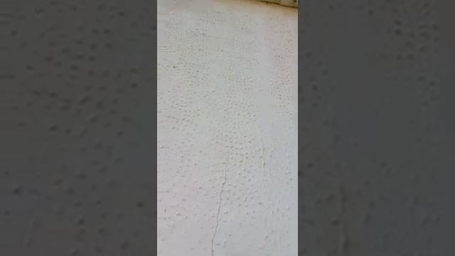 Ситуация с " сиротскими" домикам в с. Белая Глина Белоглинского района Краснодарского края смотреть онлайн